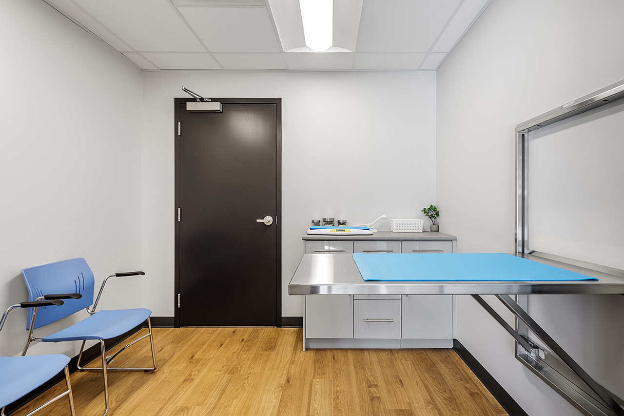 Bridgeway Vet Hospital interior detail
